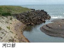 河口部